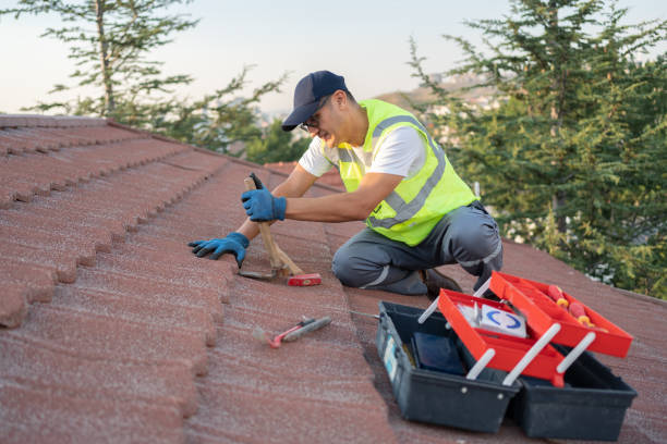 Best Roof Gutter Cleaning  in Bude, MS
