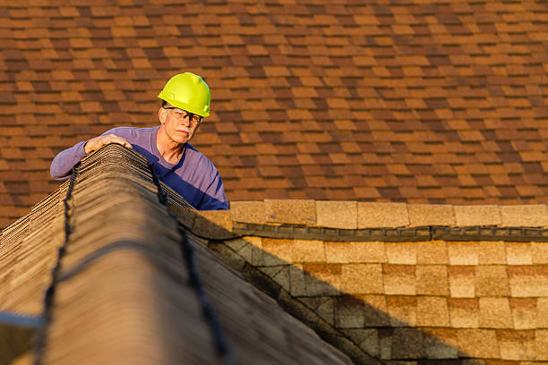 Best Sealant for Roof  in Bude, MS